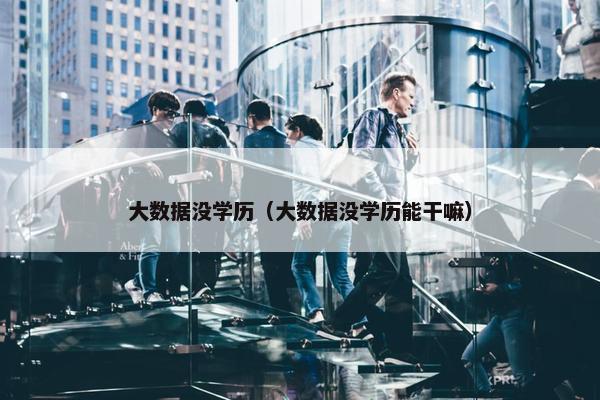 大数据没学历（大数据没学历能干嘛）