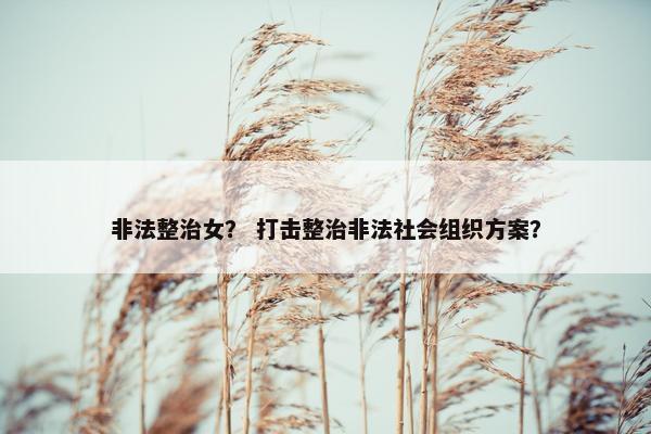 非法整治女？ 打击整治非法社会组织方案？