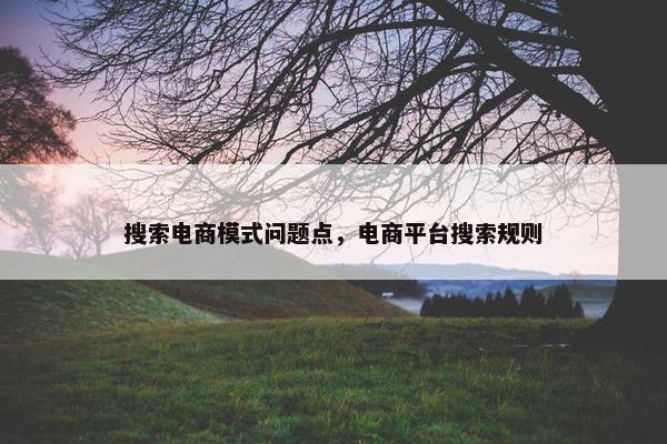 搜索电商模式问题点，电商平台搜索规则