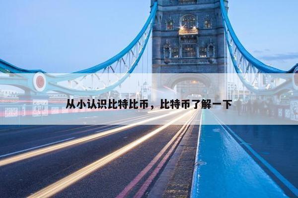 从小认识比特比币，比特币了解一下
