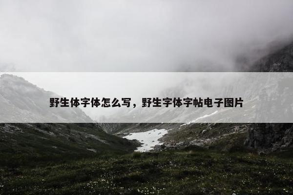 野生体字体怎么写，野生字体字帖电子图片
