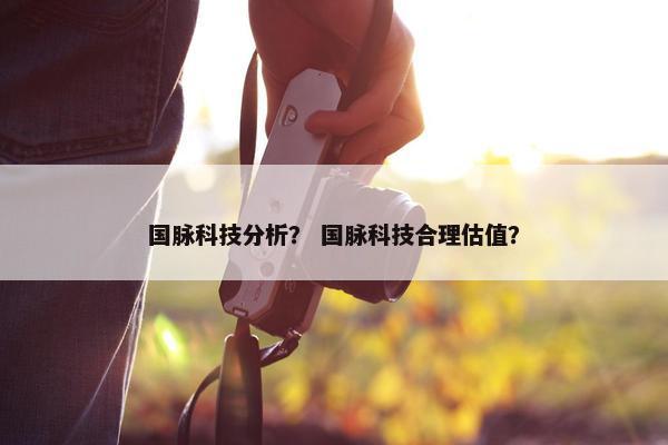 国脉科技分析？ 国脉科技合理估值？