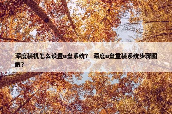 深度装机怎么设置u盘系统？ 深度u盘重装系统步骤图解？