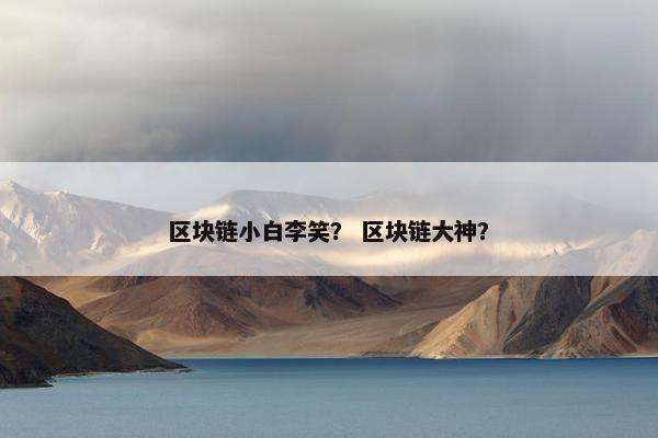 区块链小白李笑? 区块链大神? 区块链小白李笑? 区块链大神?