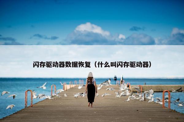 闪存驱动器数据恢复（什么叫闪存驱动器）