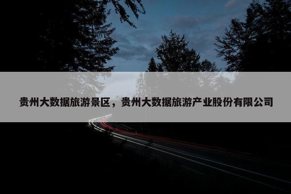 贵州大数据旅游景区，贵州大数据旅游产业股份有限公司