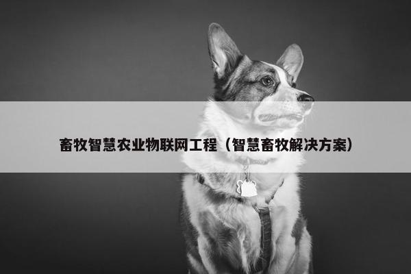 畜牧智慧农业物联网工程（智慧畜牧解决方案）