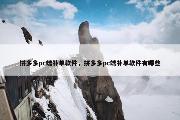 拼多多pc端补单软件，拼多多pc端补单软件有哪些
