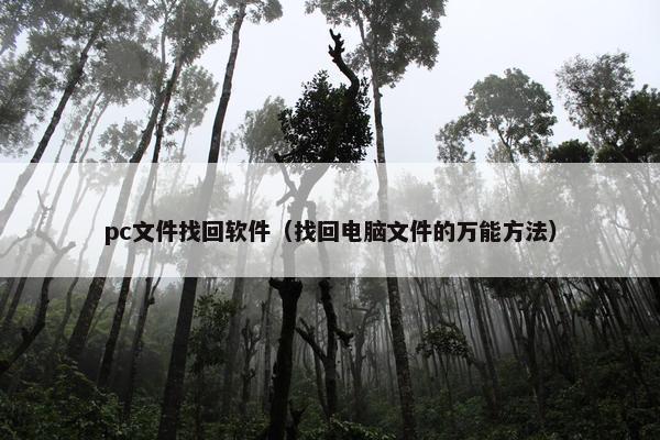 pc文件找回软件（找回电脑文件的万能方法）