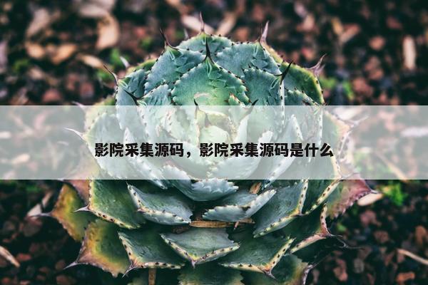 影院采集源码，影院采集源码是什么