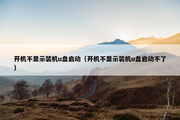 开机不显示装机u盘启动（开机不显示装机u盘启动不了）