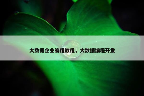 大数据企业编程教程，大数据编程开发