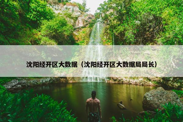 沈阳经开区大数据（沈阳经开区大数据局局长）