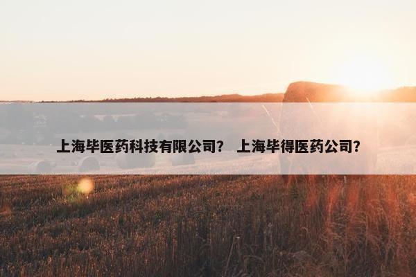 上海毕医药科技有限公司？ 上海毕得医药公司？