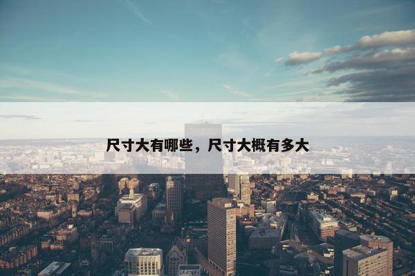 尺寸大有哪些，尺寸大概有多大