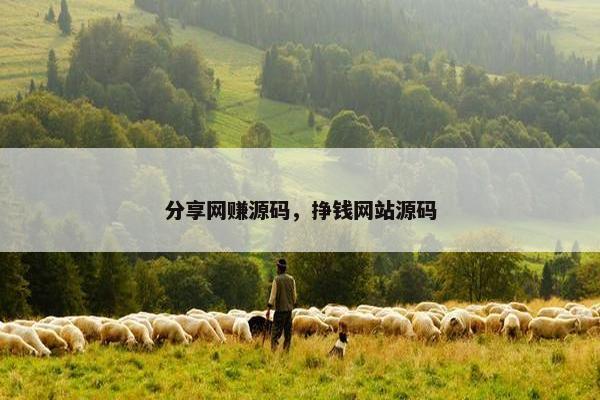 分享网赚源码，挣钱网站源码