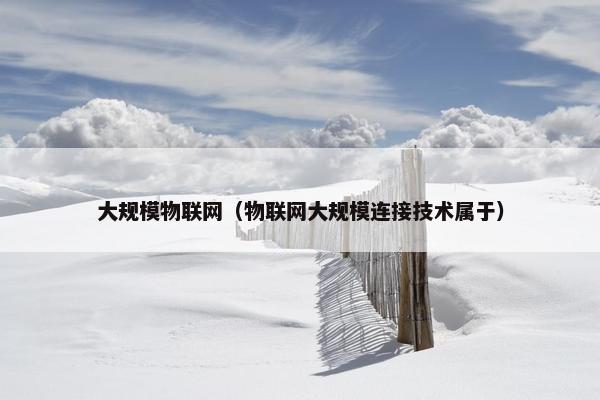大规模物联网（物联网大规模连接技术属于）