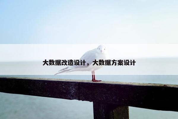 大数据改造设计，大数据方案设计
