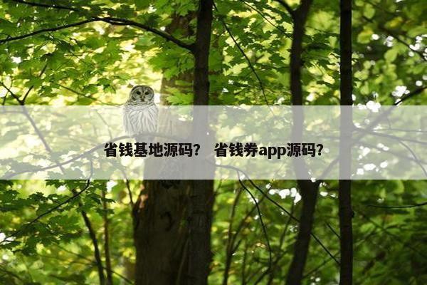 省钱基地源码？ 省钱券app源码？