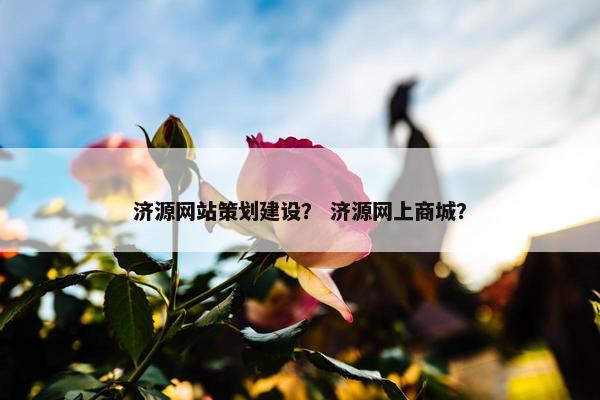 济源网站策划建设？ 济源网上商城？