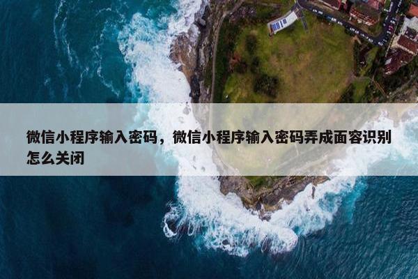 微信小程序输入密码，微信小程序输入密码弄成面容识别怎么关闭
