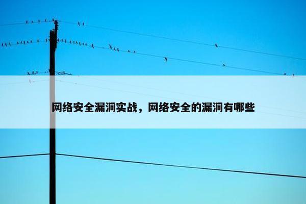 网络安全漏洞实战，网络安全的漏洞有哪些