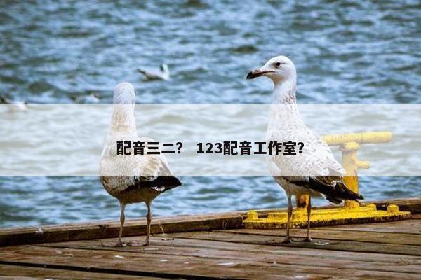 配音三二？ 123配音工作室？