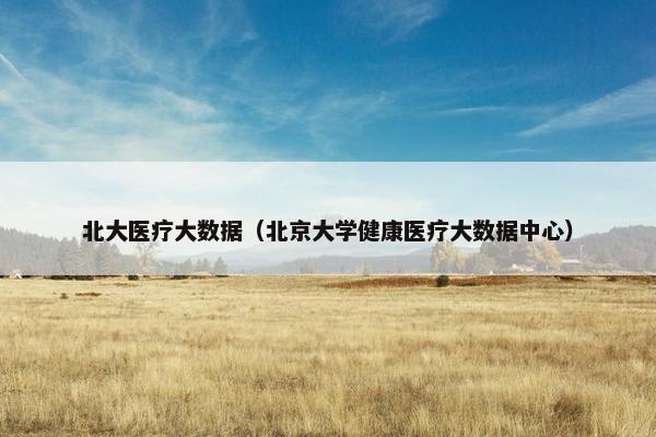 北大医疗大数据（北京大学健康医疗大数据中心）