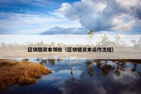 区块链资本领投（区块链资本运作流程）