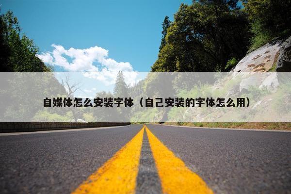 自媒体怎么安装字体（自己安装的字体怎么用）