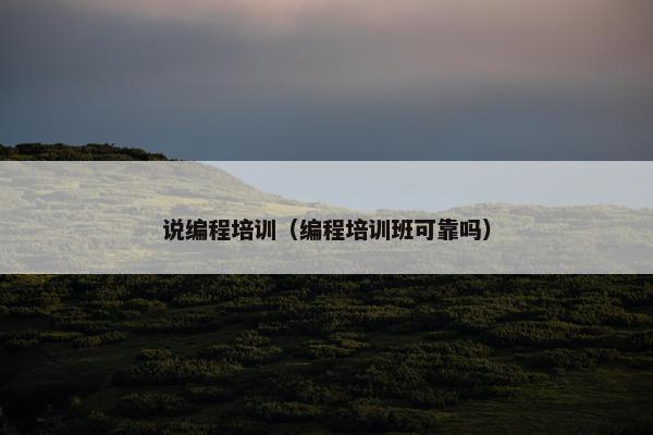 说编程培训（编程培训班可靠吗）