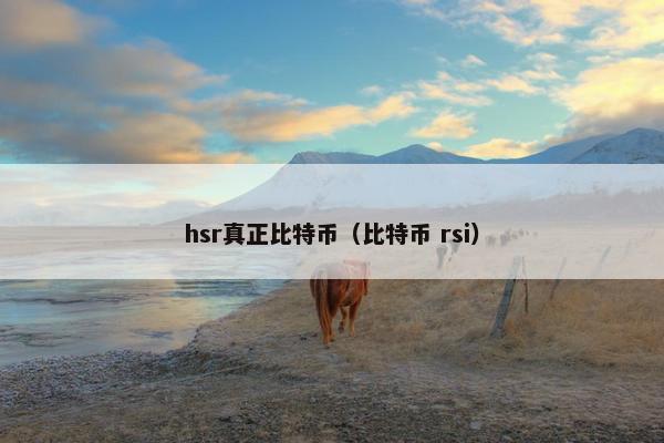 hsr真正比特币（比特币 rsi）