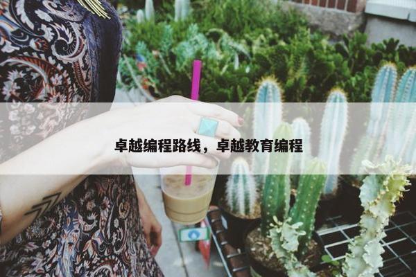 卓越编程路线，卓越教育编程