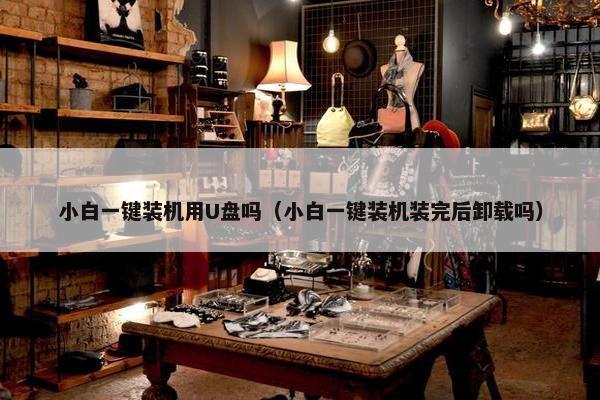 小白一键装机用U盘吗（小白一键装机装完后卸载吗）