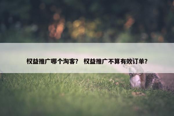 权益推广哪个淘客？ 权益推广不算有效订单？