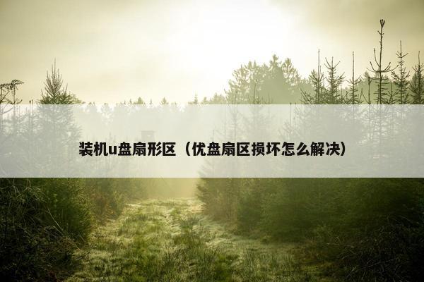 装机u盘扇形区（优盘扇区损坏怎么解决）