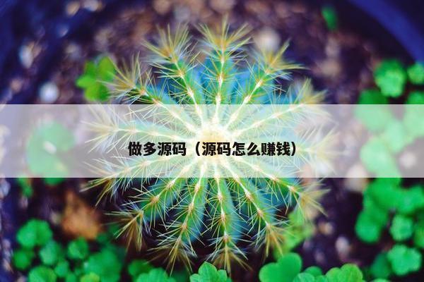 做多源码（源码怎么赚钱）