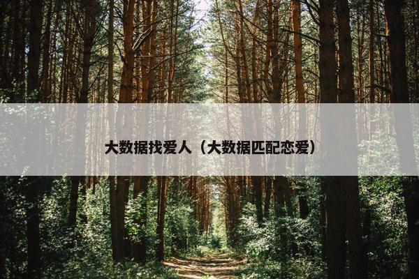 大数据找爱人（大数据匹配恋爱）