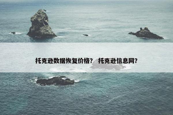 托克逊数据恢复价格？ 托克逊信息网？