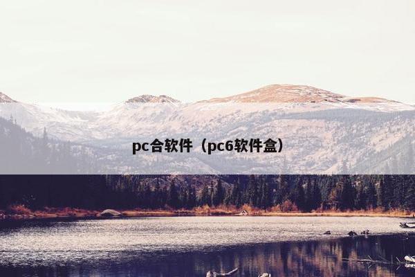 pc合软件（pc6软件盒）