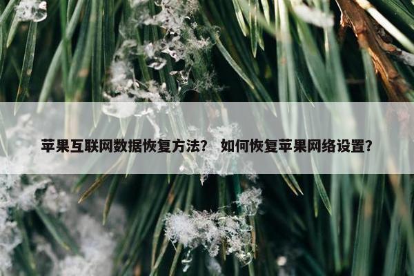 苹果互联网数据恢复方法？ 如何恢复苹果网络设置？