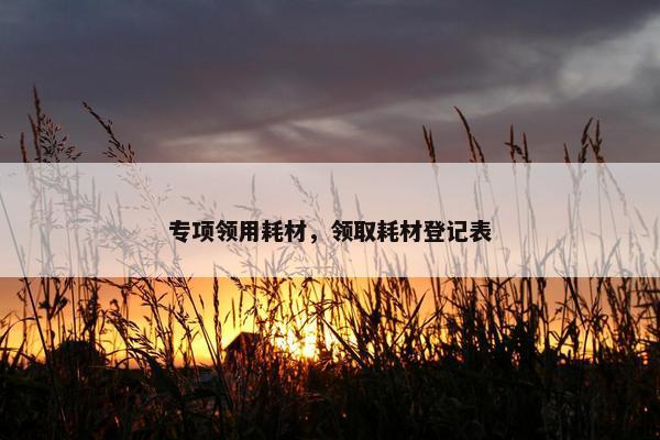 专项领用耗材，领取耗材登记表