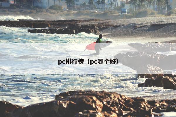 pc排行榜（pc哪个好）