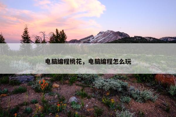 电脑编程桃花，电脑编程怎么玩