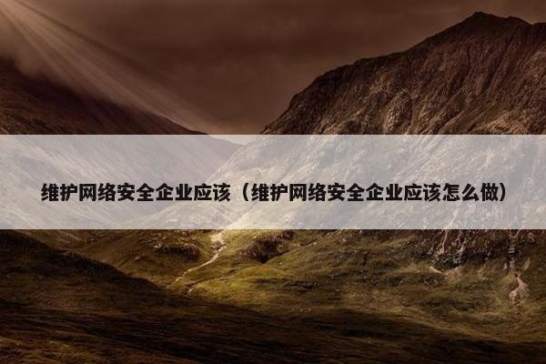 维护网络安全企业应该（维护网络安全企业应该怎么做）