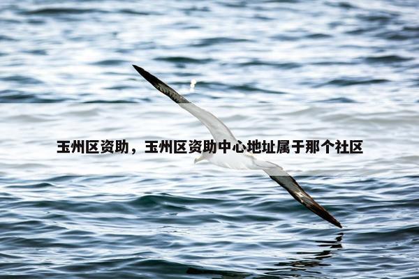 玉州区资助，玉州区资助中心地址属于那个社区