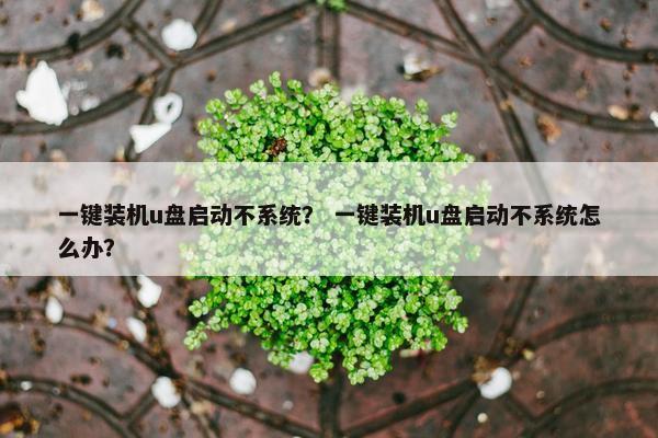 一键装机u盘启动不系统？ 一键装机u盘启动不系统怎么办？