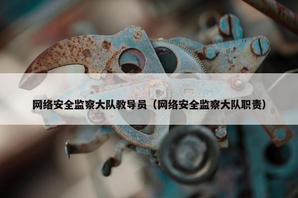 网络安全监察大队教导员（网络安全监察大队职责）