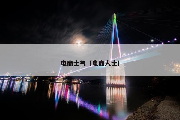 电商士气（电商人士）