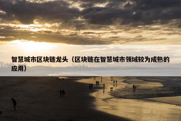 智慧城市区块链龙头（区块链在智慧城市领域较为成熟的应用）